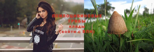 не бодяженный Коряжма