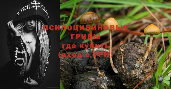 не бодяженный Козловка