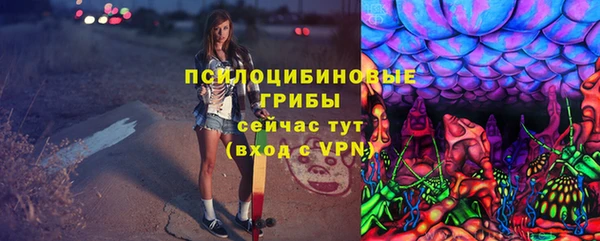 мяу мяу кристалл Корсаков