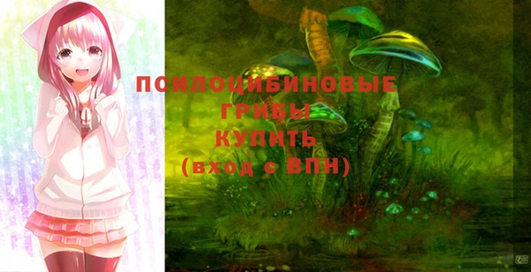 не бодяженный Коряжма