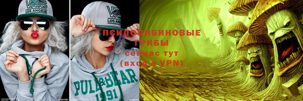 не бодяженный Коряжма