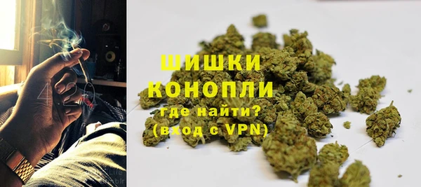 мяу мяу кристалл Корсаков