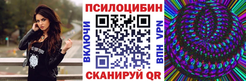 хочу   Красный Сулин  hydra как зайти  Псилоцибиновые грибы Cubensis 